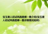 宝玉袭人初试风雨是哪一集介绍(宝玉袭人初试风雨是哪一集详细情况如何)
