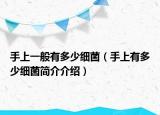 手上一般有多少细菌（手上有多少细菌简介介绍）