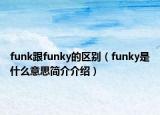funk跟funky的区别（funky是什么意思简介介绍）