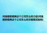鸿准精密模具这个公司怎么样介绍(鸿准精密模具这个公司怎么样详细情况如何)
