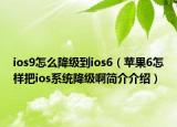 ios9怎么降级到ios6（苹果6怎样把ios系统降级啊简介介绍）