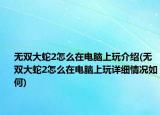 无双大蛇2怎么在电脑上玩介绍(无双大蛇2怎么在电脑上玩详细情况如何)
