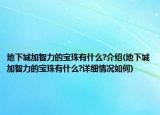 地下城加智力的宝珠有什么?介绍(地下城加智力的宝珠有什么?详细情况如何)