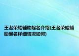 王者荣耀辅助起名介绍(王者荣耀辅助起名详细情况如何)