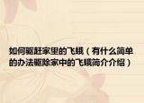 如何驱赶家里的飞蛾（有什么简单的办法驱除家中的飞蛾简介介绍）
