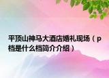 平顶山神马大酒店婚礼现场（p档是什么档简介介绍）