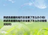 鹦鹉鱼眼睛和尾巴全变黑了怎么办介绍(鹦鹉鱼眼睛和尾巴全变黑了怎么办详细情况如何)