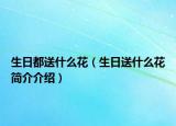 生日都送什么花（生日送什么花简介介绍）