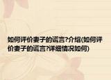 如何评价妻子的谎言?介绍(如何评价妻子的谎言?详细情况如何)