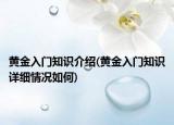 黄金入门知识介绍(黄金入门知识详细情况如何)