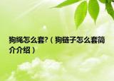 狗绳怎么套?（狗链子怎么套简介介绍）