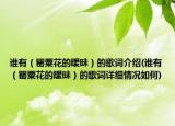 谁有（罂粟花的暧昧）的歌词介绍(谁有（罂粟花的暧昧）的歌词详细情况如何)