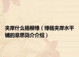 夹岸什么杨柳绿（绿杨夹岸水平铺的意思简介介绍）