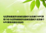 QQ宠物里面获得的藏宝图碎片去找哪个NPC使用介绍(QQ宠物里面获得的藏宝图碎片去找哪个NPC使用详细情况如何)