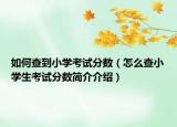 如何查到小学考试分数（怎么查小学生考试分数简介介绍）
