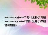 wannacry(win7 打什么补丁介绍 wannacry win7 打什么补丁详细情况如何)