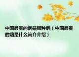 中国最贵的烟是哪种烟（中国最贵的烟是什么简介介绍）