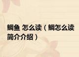鲷鱼 怎么读（鲷怎么读简介介绍）