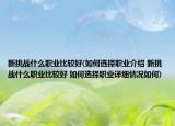新挑战什么职业比较好(如何选择职业介绍 新挑战什么职业比较好 如何选择职业详细情况如何)