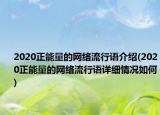 2020正能量的网络流行语介绍(2020正能量的网络流行语详细情况如何)