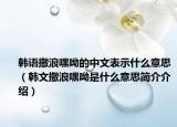 韩语撒浪嘿呦的中文表示什么意思（韩文撒浪嘿呦是什么意思简介介绍）