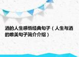 酒的人生感悟经典句子（人生与酒的唯美句子简介介绍）
