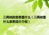 三两枝的意思是什么（三两枝是什么意思简介介绍）