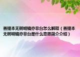 菩提本无树明镜亦非台怎么解释（菩提本无树明镜亦非台是什么意思简介介绍）
