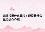 城建投是什么单位（建投是什么单位简介介绍）