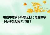 电脑中数字下标怎么打（电脑数字下标怎么打简介介绍）