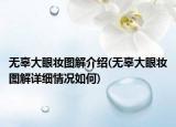 无辜大眼妆图解介绍(无辜大眼妆图解详细情况如何)