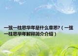 一弦一柱思华年是什么意思?（一弦一柱思华年解释简介介绍）
