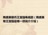 隋唐英雄传王宝强电视剧（隋唐英雄王宝强是哪一部简介介绍）