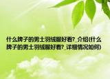 什么牌子的男士羽绒服好看?_介绍(什么牌子的男士羽绒服好看?_详细情况如何)