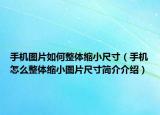 手机图片如何整体缩小尺寸（手机怎么整体缩小图片尺寸简介介绍）