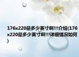 176x220是多少英寸啊!!!介绍(176x220是多少英寸啊!!!详细情况如何)