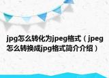 jpg怎么转化为jpeg格式（jpeg怎么转换成jpg格式简介介绍）
