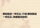 假如我是一块石头-介绍(假如我是一块石头-详细情况如何)