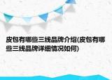 皮包有哪些三线品牌介绍(皮包有哪些三线品牌详细情况如何)