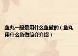 鱼丸一般是用什么鱼做的（鱼丸用什么鱼做简介介绍）