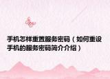 手机怎样重置服务密码（如何重设手机的服务密码简介介绍）