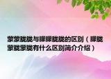 蒙蒙胧胧与朦朦胧胧的区别（朦胧蒙胧蒙胧有什么区别简介介绍）