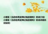 小曾版《当你的秀发拂过我的钢枪》歌词介绍(小曾版《当你的秀发拂过我的钢枪》歌词详细情况如何)