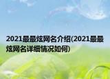 2021最最炫网名介绍(2021最最炫网名详细情况如何)
