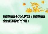 锦鲤和草金怎么区别（锦鲤和草金的区别简介介绍）