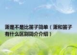 萧是不是比笛子简单（萧和笛子有什么区别简介介绍）
