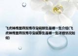 飞虎神鹰里燕双鹰夺宝藏那集是哪一集介绍(飞虎神鹰里燕双鹰夺宝藏那集是哪一集详细情况如何)