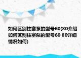 如何区别柱塞泵的型号60(80介绍 如何区别柱塞泵的型号60 80详细情况如何)