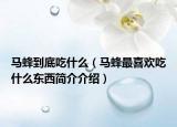 马蜂到底吃什么（马蜂最喜欢吃什么东西简介介绍）
