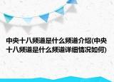 中央十八频道是什么频道介绍(中央十八频道是什么频道详细情况如何)